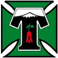 Deportes Temuco - Club de fútbol
